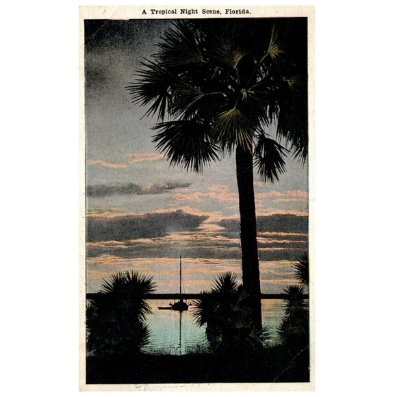 Postcard A Tropical Night Scene in Florida sailboat 1920 posted - Picture 1 of 2